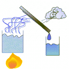 gluten free distillation image